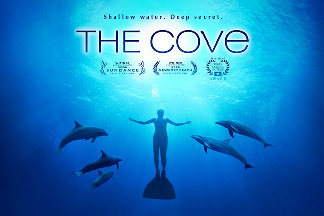 The cove cover